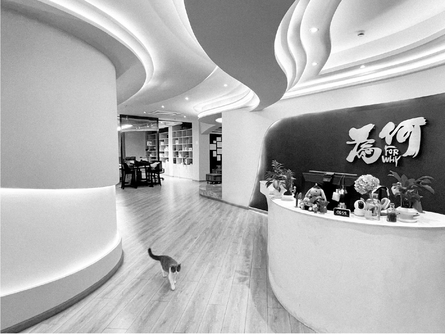 为何FORWHY公司空间